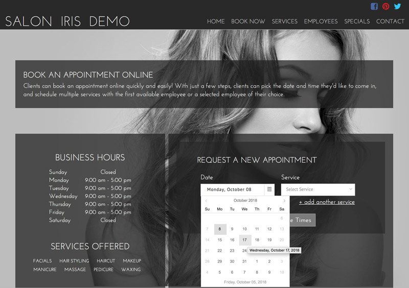 Saloniris web app interface for appointment booking facilities