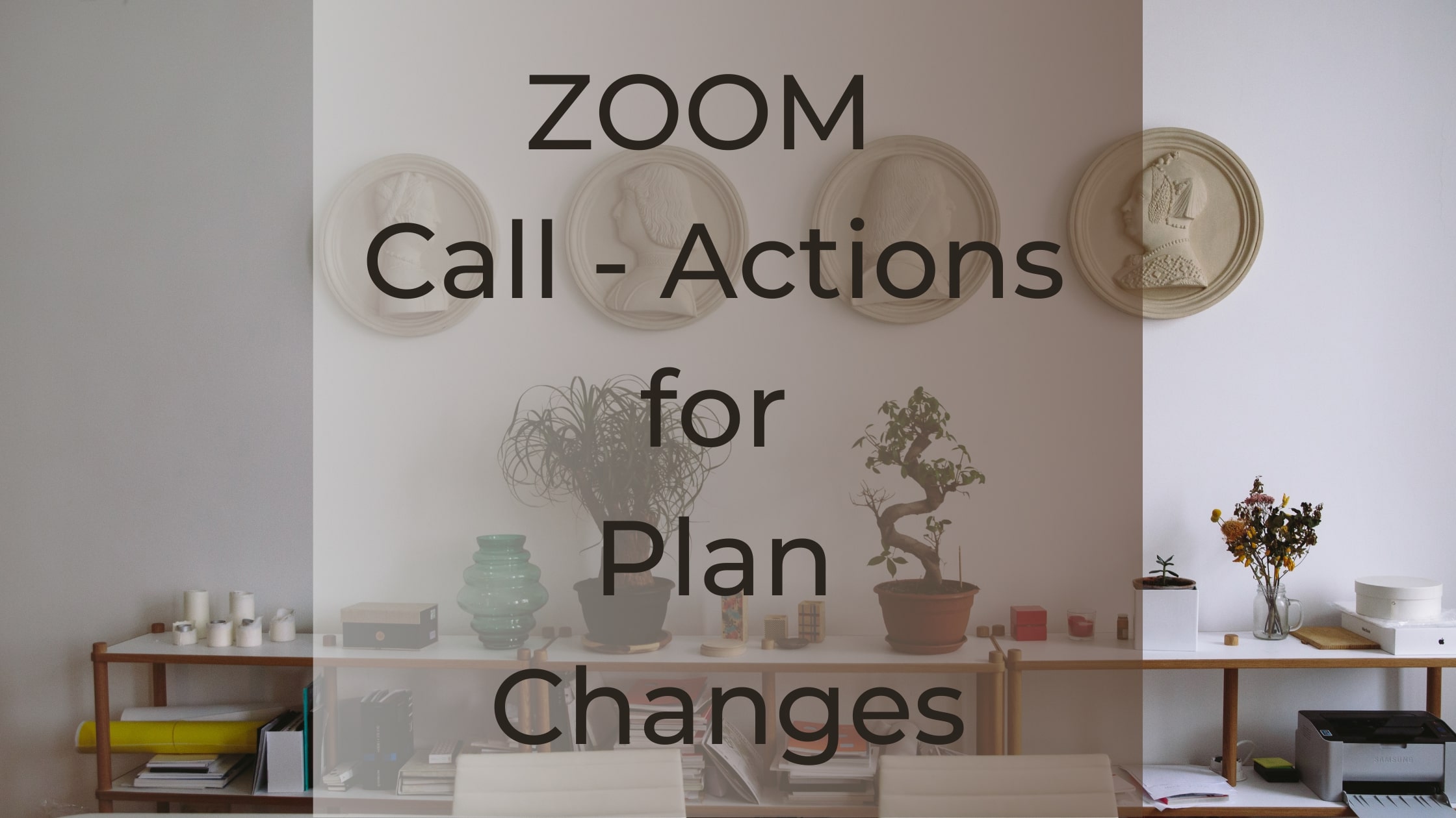 actions for plan changes on zoom