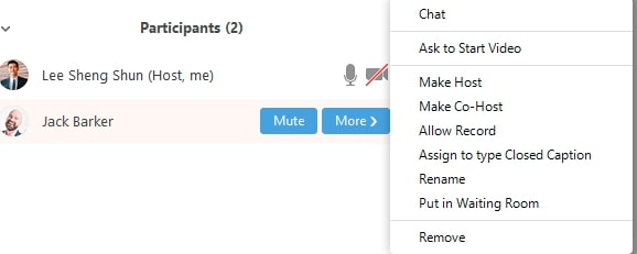 participant’s control options for the host in a zoom meeting